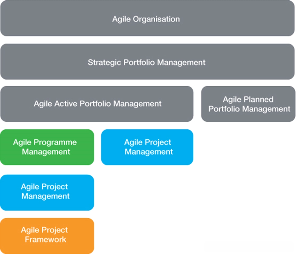 Agile Programme Management Context